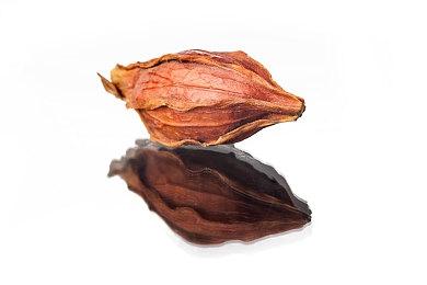 公布了5款经典游戏后SEGA有望复活《VR战士》